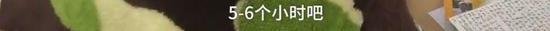 艰难创业,生意进入正轨……