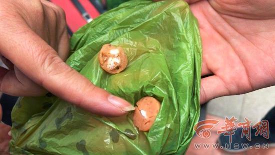 目前为止,该小区已发生4次疑似投毒事件。