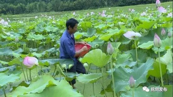 道虽迩,不行不至;