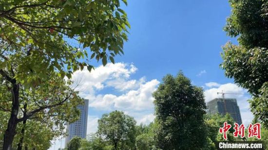 图为江西南昌,未来一周将继续维持持续高温状态。 袁汝晶 摄