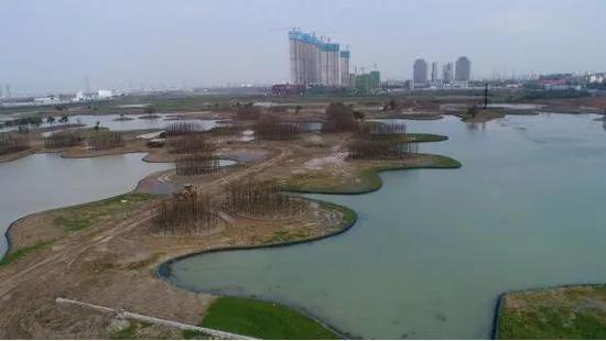 鱼尾洲公园项目建设现场