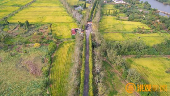 南昌这条公路获评全省“十大最美农村公路”