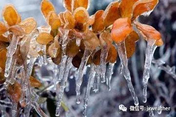 明后两天赣北阴天部分有小雨