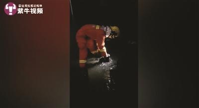 “包子哥”火了! 获《人民日报》、“央视”微博点赞
