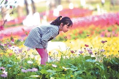 资料图片。广州日报全媒体记者卢政摄