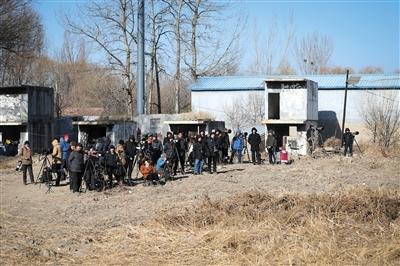 昨日，众多拍摄者在现场等候拍摄毛脚鵟。本版摄影/新京报记者 彭子阳