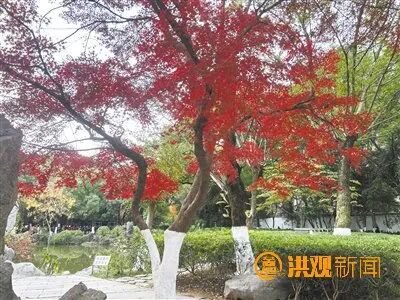 南昌老城园林成休闲新去处