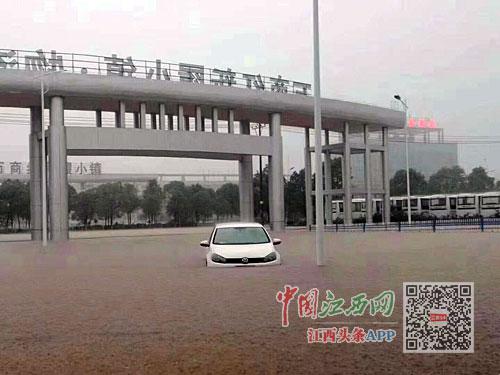 8日,强降雨使新余城区出现内涝。图/周勇平 全媒体记者 刘健
