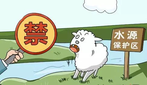 违反条例规定最高将处50万元罚款