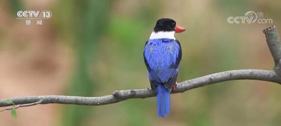 足足|足足217秒！南昌登上《新闻联播》！