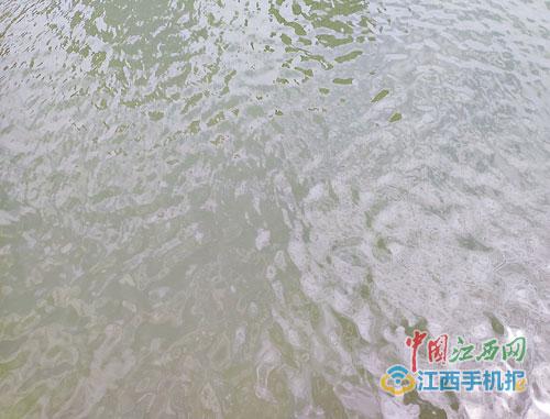 水面近景