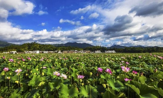 黑龙江产蔓越莓、四川产鱼子酱……江西竟然产这个？