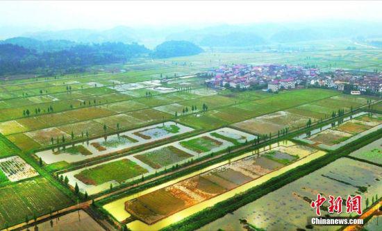 航拍下的江西新余仙女湖区河下镇浒溪村稻田和龙虾生态养殖基地与村庄、河流、沟渠共同构成一幅幅春日田园画卷,美不胜收。赵春亮 摄