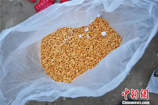 图为警方查获的假冒胶囊。警方供图