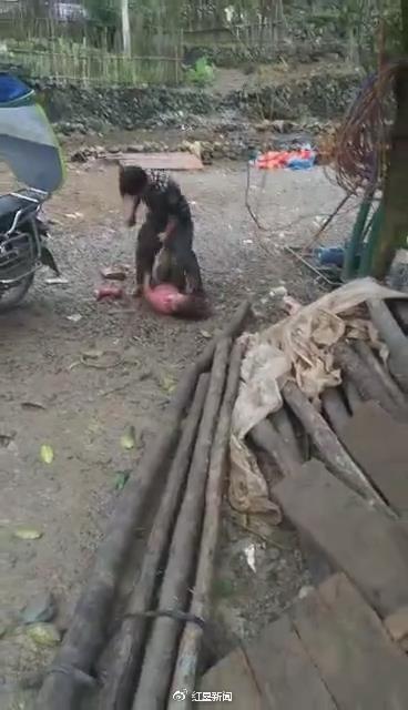视频截图