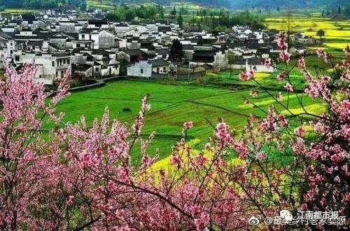 (图片由最美乡村老家婺源提供)