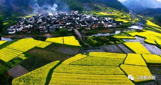 (图片由婺源篁岭景区提供)