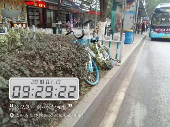 上饶哈罗共享单车乱停乱放被罚8000元