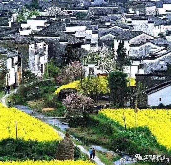 (图片由最美乡村老家婺源提供)