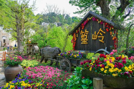 婺源篁岭鲜花小镇