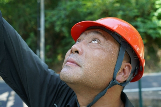 2022年7月15日,国网彭泽县供电公司员工在彭泽10千伏龙宫洞线先锋支线进行带电作业。