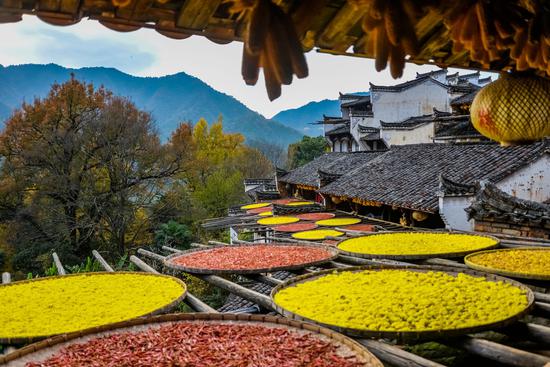 篁岭人家推窗即景