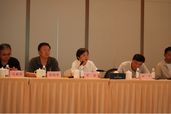 江西文演演出院线公司执行董事、总经理 罗蔚