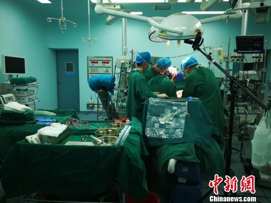 移植手术中。 安医大一附院供图