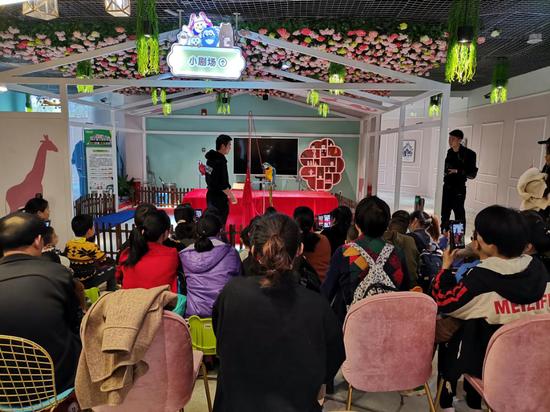 蓝金刚鹦鹉杂技表演