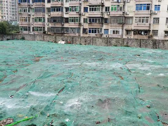 岱山街道梨园二区私种菜地整改后