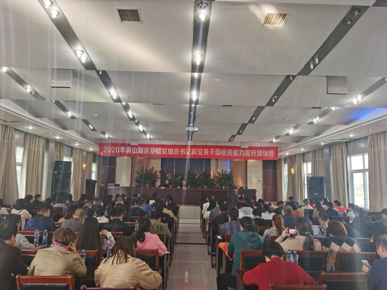 举办七大领域党务干部业务能力提升培训班
