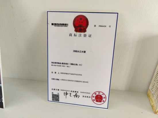 品牌商标注册