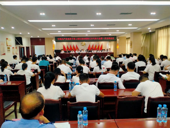 中国共产党青山湖区湖坊镇第五次代表大会第一次全体会议