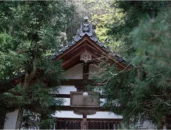 沃尔沃 究竟是个什么样的品牌呢?_赣州汽车网