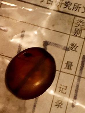 出土精美琥珀