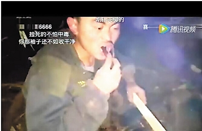 视频截图。