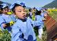 2016年3月25日，江西省婺源县溪头龙尾小学近50名身穿古装的学童，在江岭景区万亩梯田油菜花海中诵读经典国学。卓忠伟占斌/视觉中国