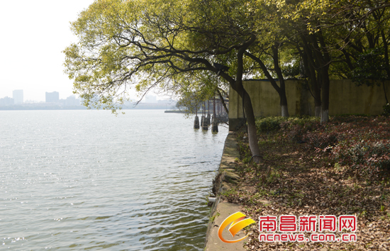 抛尸现场