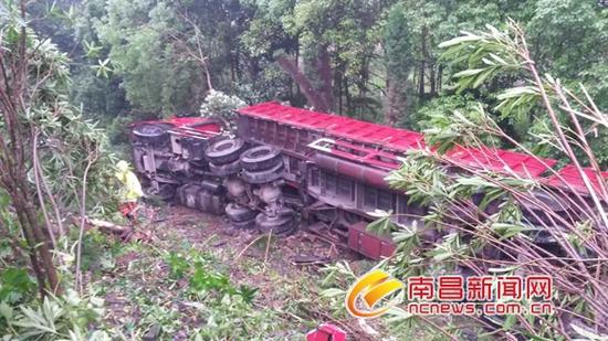 半挂车飞入小树林内