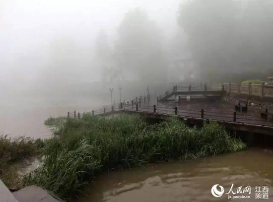 2日17时至3日17时,庐山降雨超过250毫米,为江西省之最。(吴健 摄)