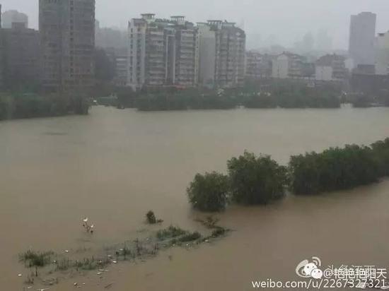 九江十里河水猛涨(图片来源微博)