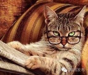 注意!垃圾费收费标准已出 看看有什么变化