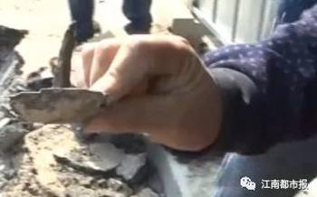 (挖出疑似铁钉物)