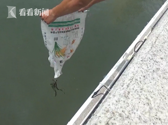 随后,民警将这几条小蛇一一抓获,最后一数,总共抓了6条。经鉴别,这都是无毒的小蛇,于是,民警将它们带到运河边放生。