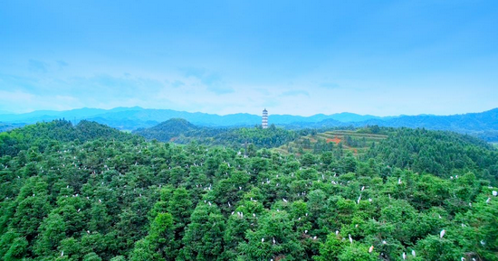 宜黄风景。凡人/摄