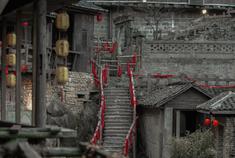 泊园茶村，偷得浮生半日闲