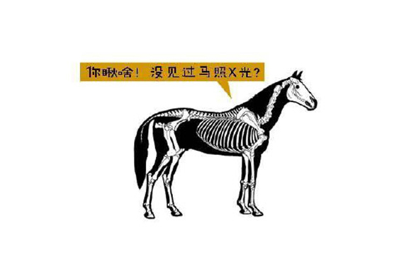 爱上一匹野马，可我的家里没有草原