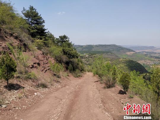 奥野太行·野川山越野跑挑战赛赛道。主办方供图