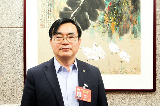 全国政协委员柳崇禧：纯电动汽车发展不可持续