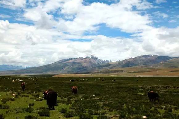 8600km 三个男人开着奥拓自驾去西藏(上)